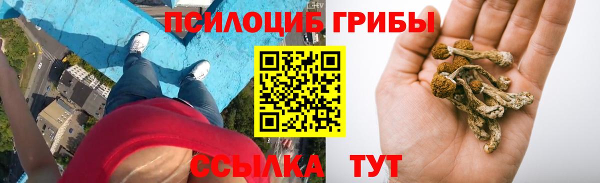 Галлюциногенные грибы Cubensis  дарнет шоп  Шатура  Вход с VPN 